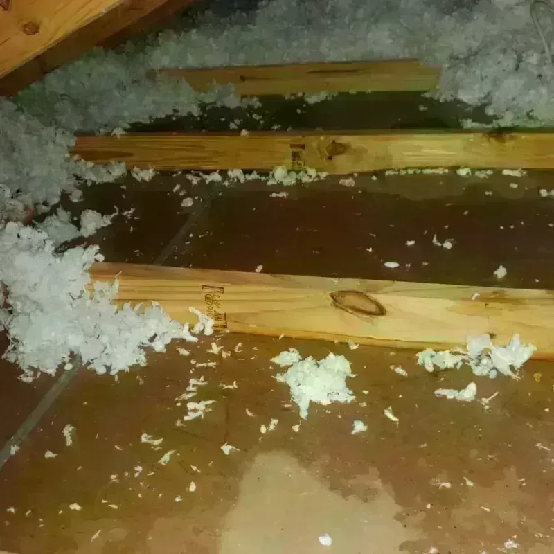 Attic Water Damage in Lockport, IL